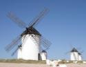 turismodevino's picture