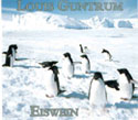 Buy the 2004 Louis Guntrum Penguin Eiswein