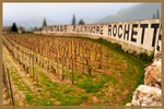 The Vineyard for Alexandre Rochette Wine