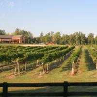 The Vineyard at New Kent Winery