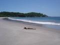 View user profile. Wesley Hamel's picture