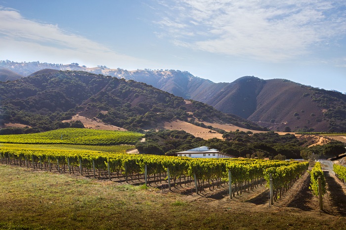 Santa Lucia Highlands