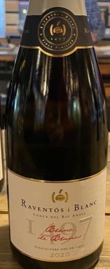 2020 Raventós i Blanc de Nit Blanc de Blancs, Spain, Wine Review | IntoWine