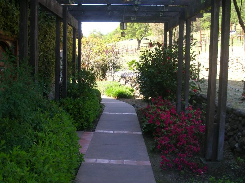 ZD Wines - Garden Walkway 