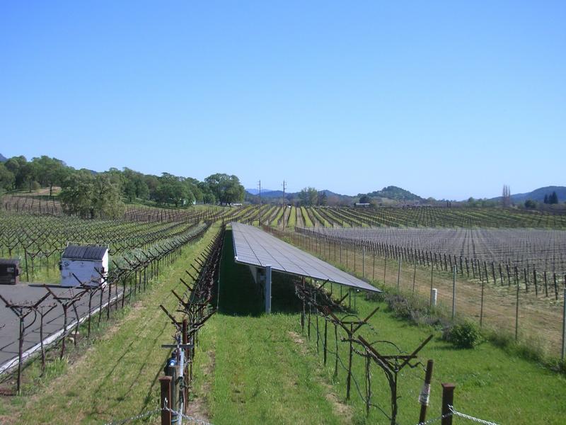 ZD Wines, Solar Panels amoung the vineyard