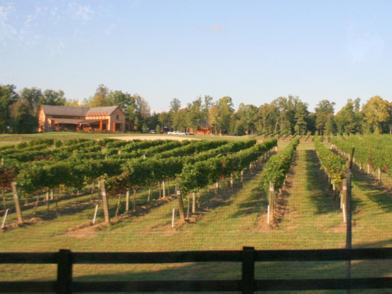 The Vineyard at New Kent Winery