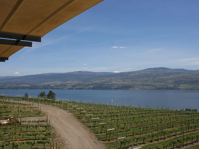 View from the terrace at Mission Hill Winery