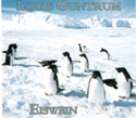 Buy the 2004 Louis Guntrum Penguin Eiswein
