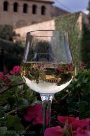 Chardonnay Glass