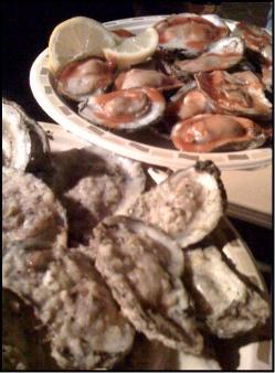 Oysters at Murphy's Irish Pub