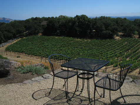 View from balcony at Paradise Ridge (Click to Enlarge)